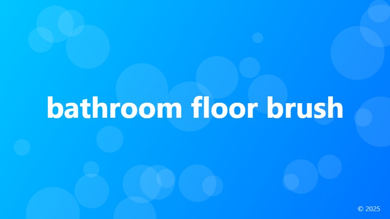 bathroom floor brush